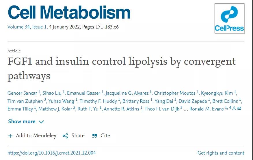 Cell子刊：糖尿病治療新突破！科學家發(fā)現(xiàn)了獨立于胰島素之外的新降糖途徑