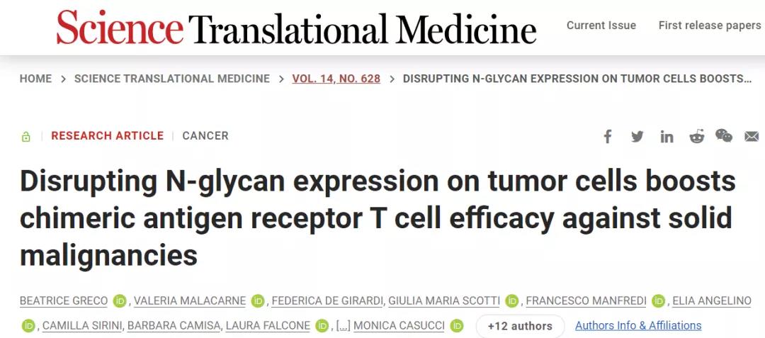 摘去腫瘤細(xì)胞的“糖衣”，CAR-T即成為“炮彈”！