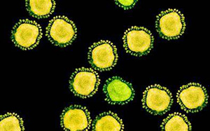 傳播速度快！新變體BA.2.12.1“風(fēng)靡”北美
