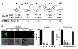 抗生素濫用問題如何解決？Science 新研究揭示抗生素輔助抑制劑的新進展