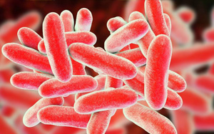 已確診19例！繼新冠和猴痘之后，美國軍團(tuán)病疫情來勢洶洶