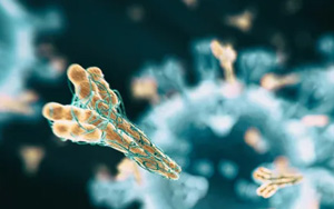 震驚！多數(shù)國人體內(nèi)無有效抗體，國產(chǎn)新冠mRNA疫苗或安全有效！