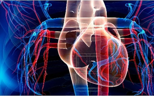 新冠導致糖尿病風險提高81%，心血管疾病風險增加6倍