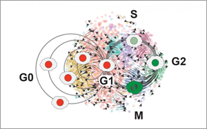 癌細(xì)胞殺不完？不如試試將腫瘤“永久休眠”！