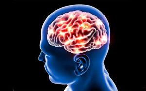 無路可退！主食中的農(nóng)藥殘留，可誘發(fā)阿爾茨海默病