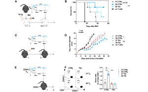 PNAS驚人大發(fā)現(xiàn)！發(fā)燒竟能抗癌，“小病不斷，大病不犯”或許不是謠傳