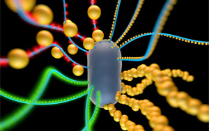 《Nature》創(chuàng)造具有逼真功能的人工細(xì)胞！