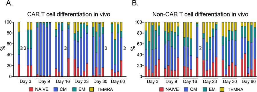 體內(nèi)CAR T細(xì)胞分化 體內(nèi)CAR T細(xì)胞分化