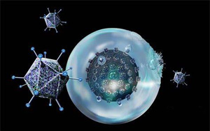 “抗癌利器”療效再提升！賓大研究團(tuán)隊(duì)開(kāi)發(fā)的免疫療法CAR-T再獲突破