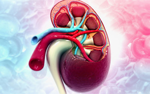 新冠將導(dǎo)致未來(lái)出現(xiàn)毀滅性的全民腎衰竭？真相究竟如何