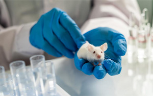 Nature子刊：RNA剪接缺陷導(dǎo)致阿爾茨海默病的機(jī)制