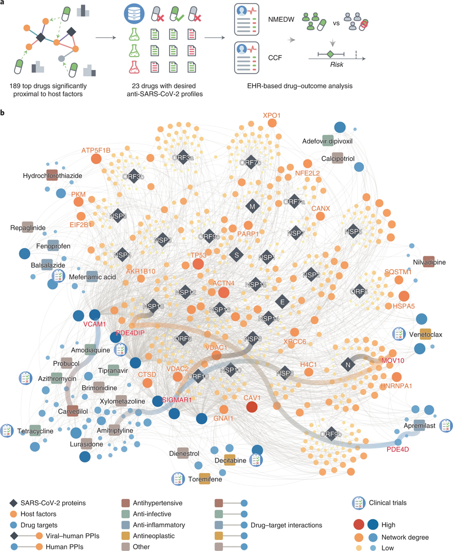基于相互作用組的新冠肺炎宿主靶向治療的新發(fā)現(xiàn) 基于相互作用組的新冠肺炎宿主靶向治療的新發(fā)現(xiàn)