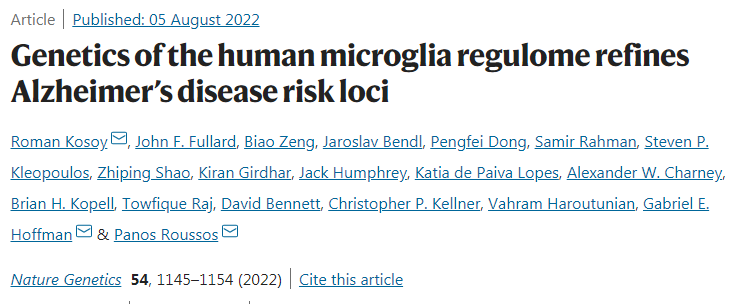 人類(lèi)小膠質(zhì)細(xì)胞如何促進(jìn)阿爾茨海默病(AD)的發(fā)生和發(fā)展的