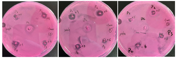 1/1000實(shí)驗(yàn)圖片