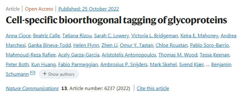 科學家團隊開發(fā)了新方法可以識別由特定類型的細胞釋放的蛋白質(zhì) 科學家團隊開發(fā)了新方法可以識別由特定類型的細胞釋放的蛋白質(zhì)