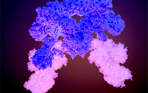 Nature破譯細(xì)胞生長的關(guān)鍵調(diào)控因子