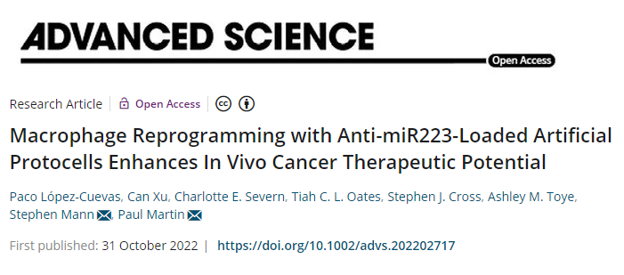一種重新編程免疫細胞以縮小或殺死癌細胞的新方法 一種重新編程免疫細胞以縮小或殺死癌細胞的新方法