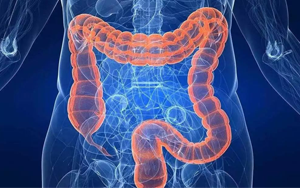 曬太陽真的能防癌？186國(guó)數(shù)據(jù)研究重磅出爐，紫外線照射不足或成結(jié)直腸癌潛在致病原因