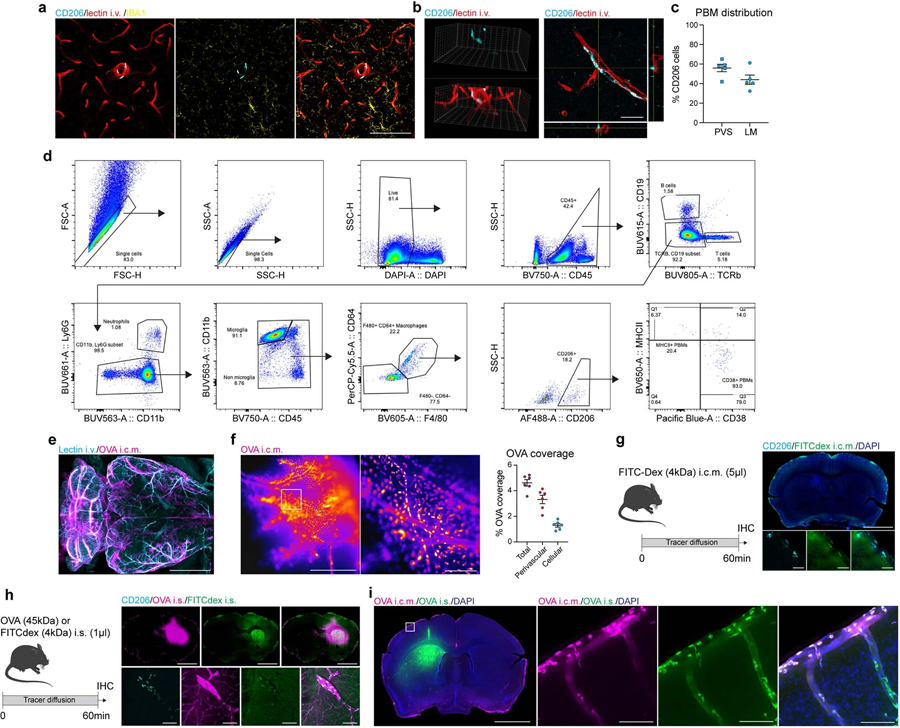 PBMs不同于小膠質(zhì)細(xì)胞和CSF和ISF樣本