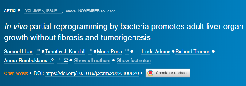 一種可能進(jìn)化為幫助對(duì)抗感染的免疫反應(yīng)似乎是驅(qū)使人類(lèi)免疫缺陷病毒(HIV)進(jìn)入潛伏狀態(tài)的機(jī)制