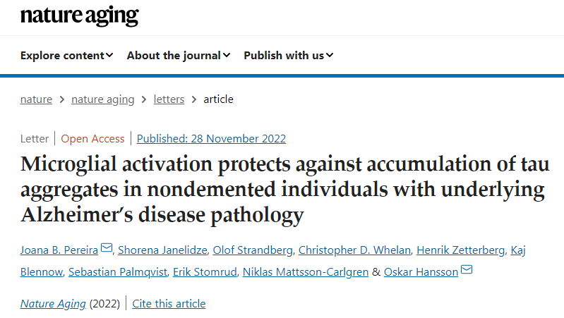 大腦中的大型免疫細胞可以減緩阿爾茨海默病的發(fā)展