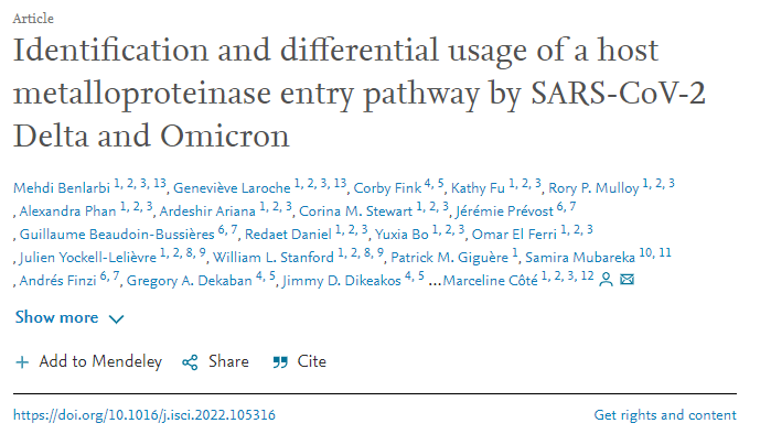 研究顯示了以前未被識別的SARS-CoV-2的進入途徑 研究顯示了以前未被識別的SARS-CoV-2的進入途徑