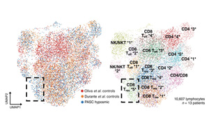 Science子刊最新研究找到了新冠病毒令人失去嗅覺(jué)的關(guān)鍵原因