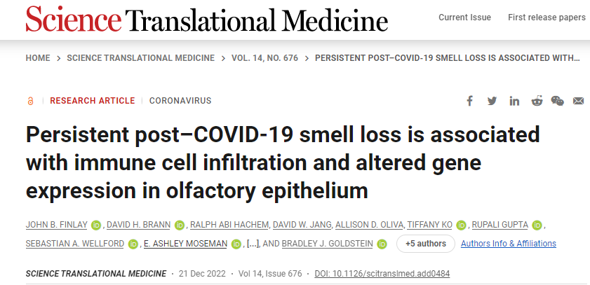 新冠肺炎后無法恢復(fù)嗅覺與免疫系統(tǒng)對嗅覺神經(jīng)細胞的持續(xù)攻擊以及這些細胞數(shù)量的相關(guān)下降有關(guān)
