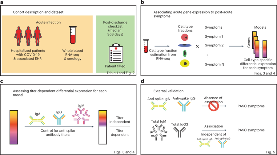 研究流程 研究流程