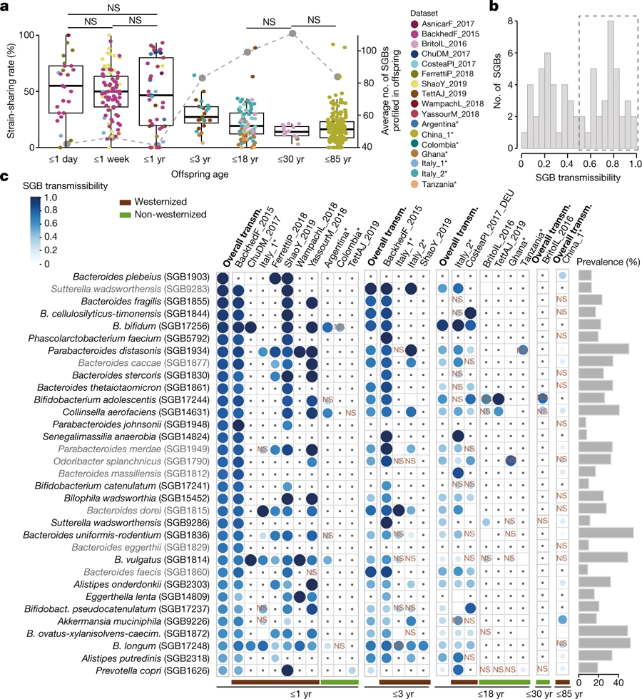 母親-后代分享腸道微生物組 母親-后代分享腸道微生物組