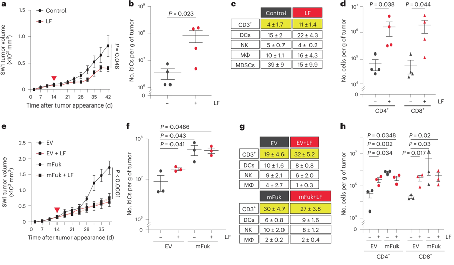 提升黑色素瘤的巖藻糖基化程度抑制了腫瘤生長并增加itIC豐度 提升黑色素瘤的巖藻糖基化程度抑制了腫瘤生長并增加itIC豐度