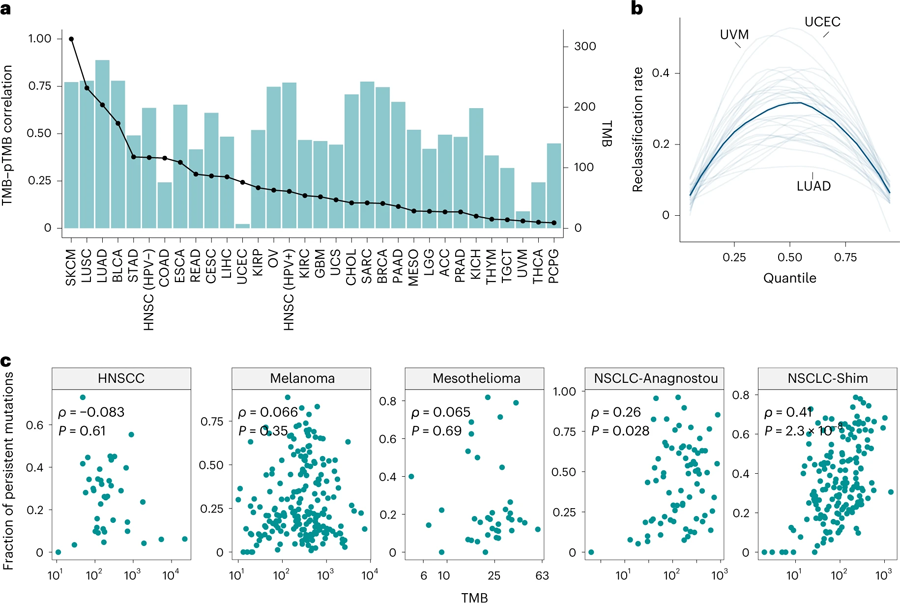 持久性突變含與TMB之間的相關(guān)性評估 持久性突變含與TMB之間的相關(guān)性評估
