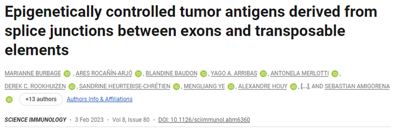 表觀遺傳控制的腫瘤抗原來源于外顯子和轉(zhuǎn)座元件之間的剪接連接 表觀遺傳控制的腫瘤抗原來源于外顯子和轉(zhuǎn)座元件之間的剪接連接