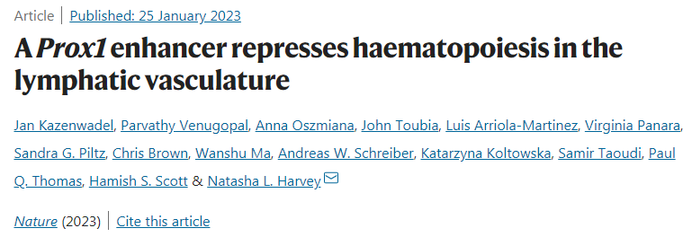 科學(xué)家發(fā)現(xiàn)淋巴管可以產(chǎn)生紅細胞和白細胞