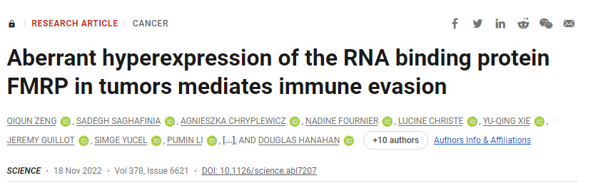 一種蛋白質(zhì)在幫助腫瘤逃脫免疫損傷方面起著關(guān)鍵作用