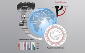 為什么我們對新冠等疾病的反應不同？Immunity發(fā)現(xiàn)人與人之間T細胞受體基因存在很大差異