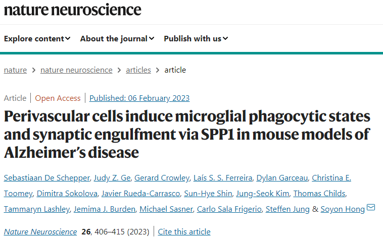 研究人員揭示了小膠質(zhì)細胞和鄰近的血管周圍巨噬細胞之間前所未有的通信 研究人員揭示了小膠質(zhì)細胞和鄰近的血管周圍巨噬細胞之間前所未有的通信