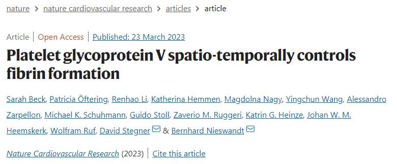 研究人員破譯了纖維蛋白形成的中央調節(jié)機制 研究人員破譯了纖維蛋白形成的中央調節(jié)機制