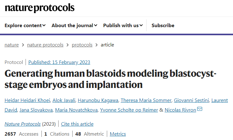  2023年研究團(tuán)隊(duì)描述了如何形成人類母細(xì)胞