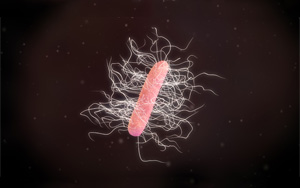 艱難梭菌免疫檢測相關(guān)抗原抗體