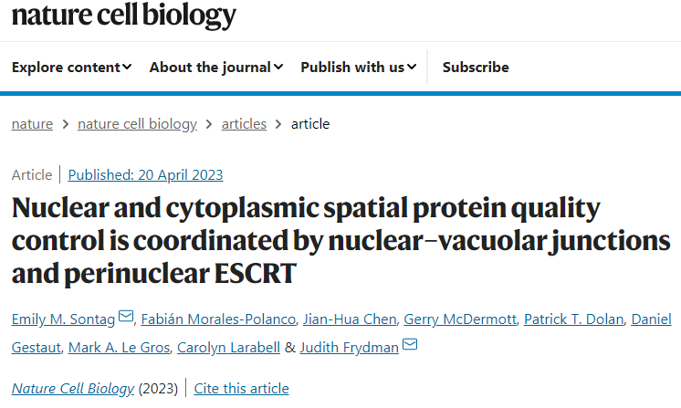 研究人員發(fā)現(xiàn)了一種細(xì)胞途徑可以清除細(xì)胞核中錯(cuò)誤折疊的蛋白質(zhì) 研究人員發(fā)現(xiàn)了一種細(xì)胞途徑可以清除細(xì)胞核中錯(cuò)誤折疊的蛋白質(zhì)