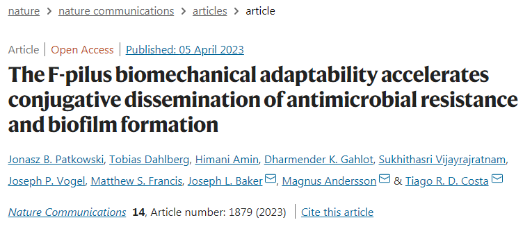 研究發(fā)現(xiàn)F-pili幫助細(xì)菌更有效地轉(zhuǎn)移抗性基因并聚集成生物膜 研究發(fā)現(xiàn)F-pili幫助細(xì)菌更有效地轉(zhuǎn)移抗性基因并聚集成生物膜