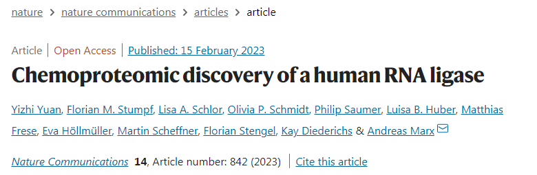 蛋白質(zhì)C12orf29具有抵抗細(xì)胞應(yīng)激的保護(hù)功能 蛋白質(zhì)C12orf29具有抵抗細(xì)胞應(yīng)激的保護(hù)功能