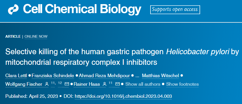 LMU的研究人員發(fā)現(xiàn)了幽門螺桿菌的一個(gè)弱點(diǎn)，可以用來(lái)開(kāi)發(fā)新藥