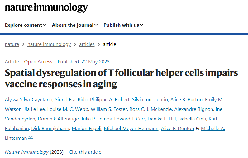 研究免疫反應隨著年齡的增長而變化的方式