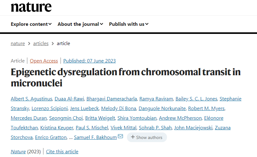 表觀遺傳改變改變細(xì)胞中基因的開啟或關(guān)閉，但不改變細(xì)胞的DNA