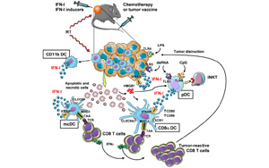 Science | 重要發(fā)現(xiàn)！斯坦福大學(xué)巧妙改造皮膚細(xì)菌，激活免疫助力抗癌
