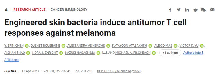 研究通過表達固定在分泌蛋白或細菌表面蛋白上的腫瘤抗原改造皮膚細菌表皮葡萄球菌來，測試其驅動抗腫瘤免疫反應的能力