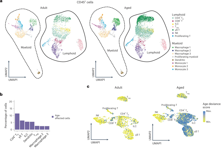 淋巴免疫細(xì)胞亞群顯示IL-17A/F相關(guān)信號(hào)傳導(dǎo)增加 淋巴免疫細(xì)胞亞群顯示IL-17A/F相關(guān)信號(hào)傳導(dǎo)增加