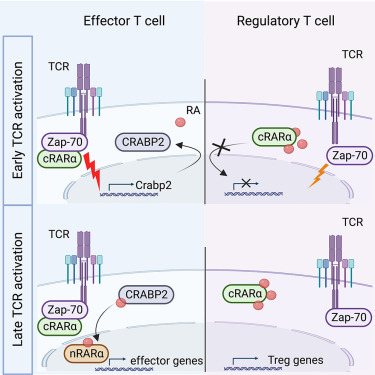 機理模式圖 機理模式圖